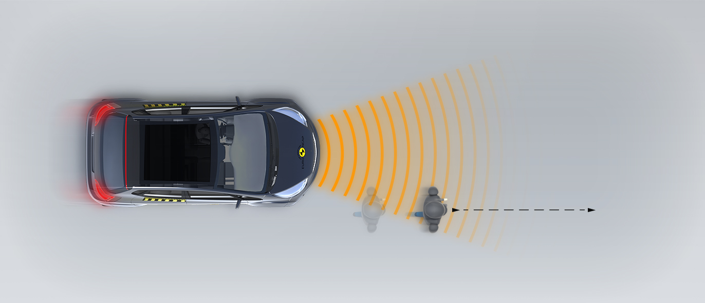 Adult along the roadside