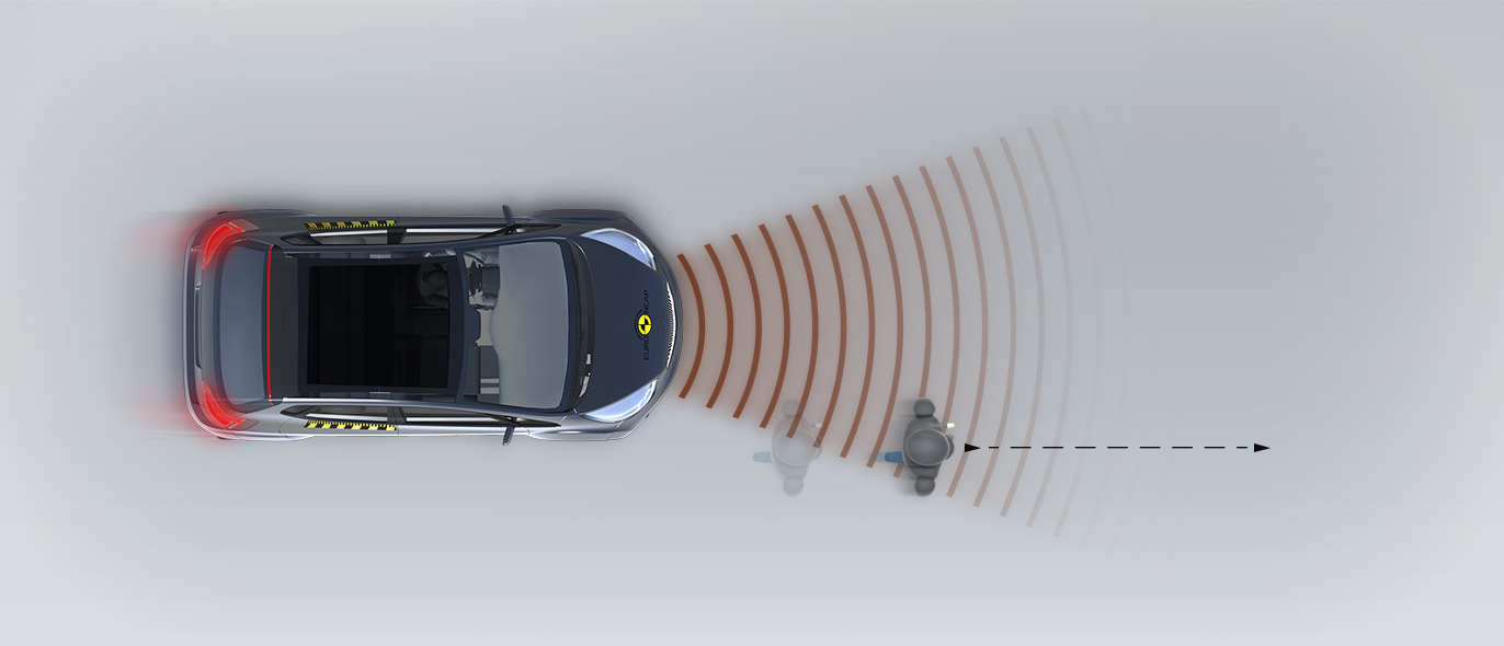 Adult along the roadside