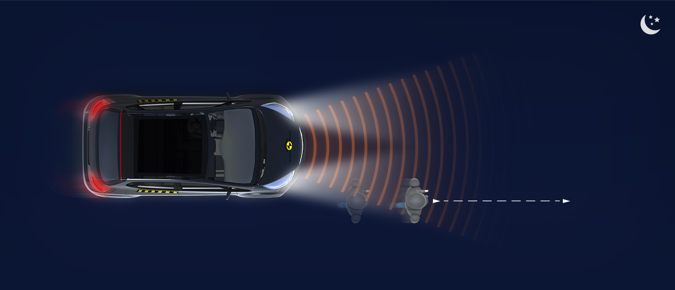 Adult along the roadside