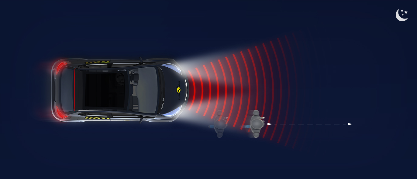 Adult along the roadside